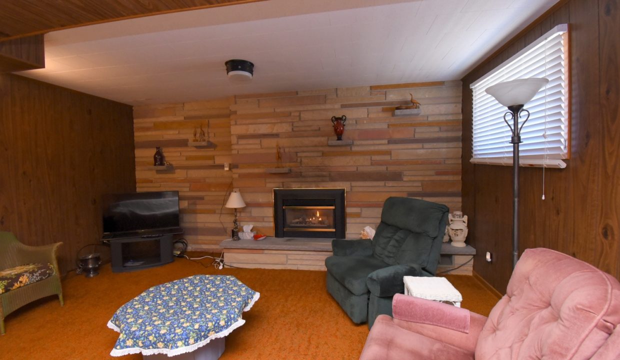 16Rec Room Fireplace