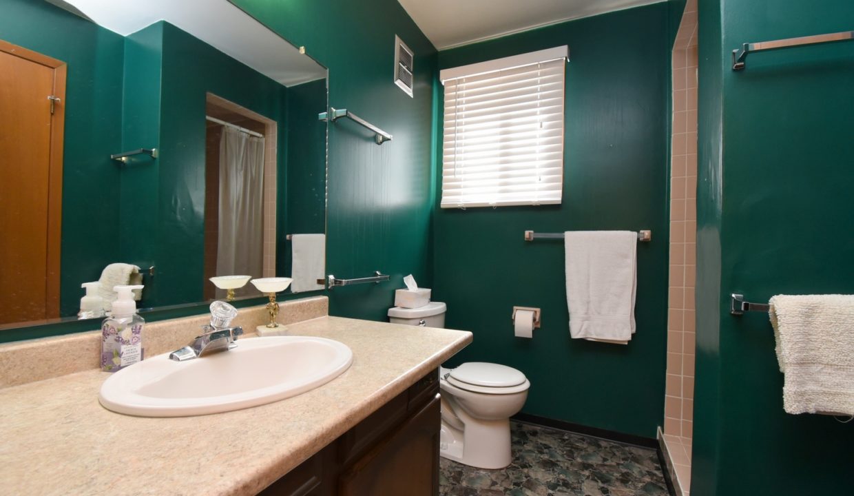 25Lower Bathroom2